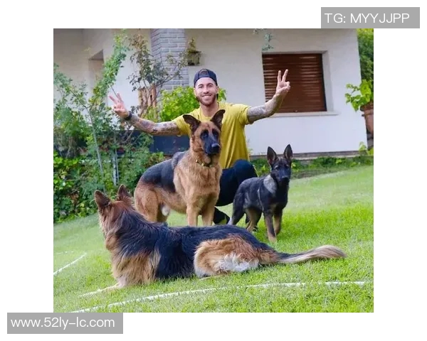 传奇足球明星绰号猎犬的辉煌历程与不屈精神解析