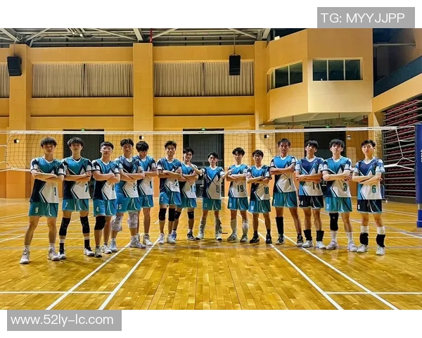 杭州排球队状态揭秘：排球巨献背后的训练与坚持